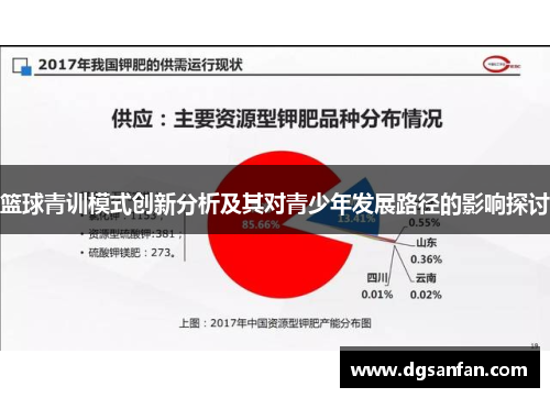 篮球青训模式创新分析及其对青少年发展路径的影响探讨